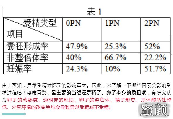 案例图片