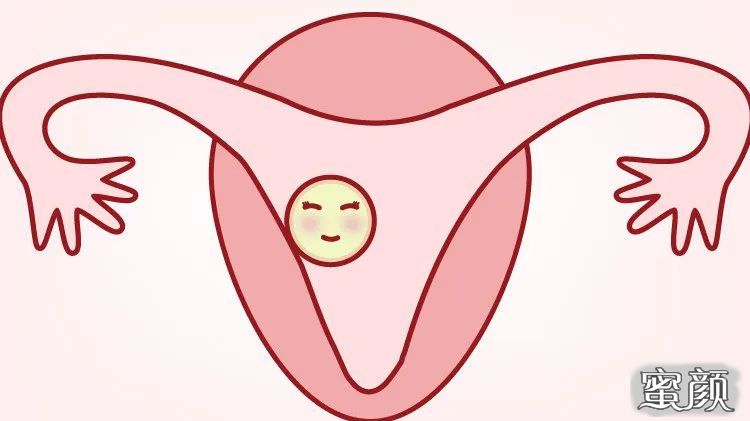 https://img.yiyiaimei.com/mnt/timg/200525/1012294623-5.jpg