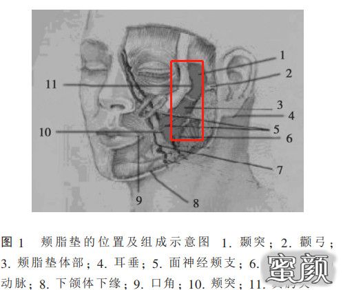 https://img.yiyiaimei.com/mnt/timg/200529/1134556091-5.jpg 案例图片
