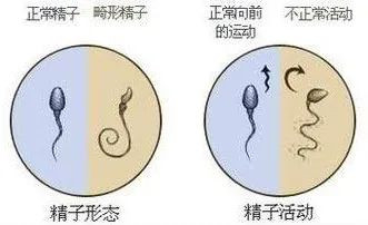 https://img.yiyiaimei.com/mnt/timg/200530/1622354H2-2.jpg