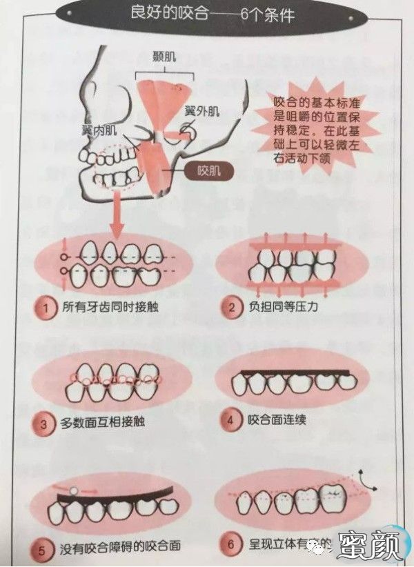案例图片