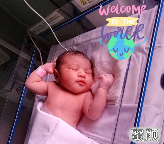 案例图片