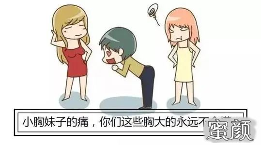 案例图片
