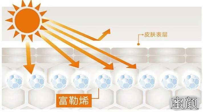 案例图片