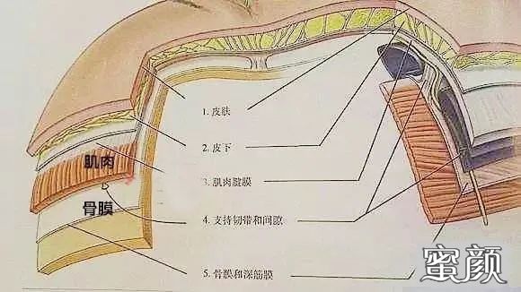 https://img.yiyiaimei.com/mnt/timg/200607/114I644N-1.jpg 案例图片