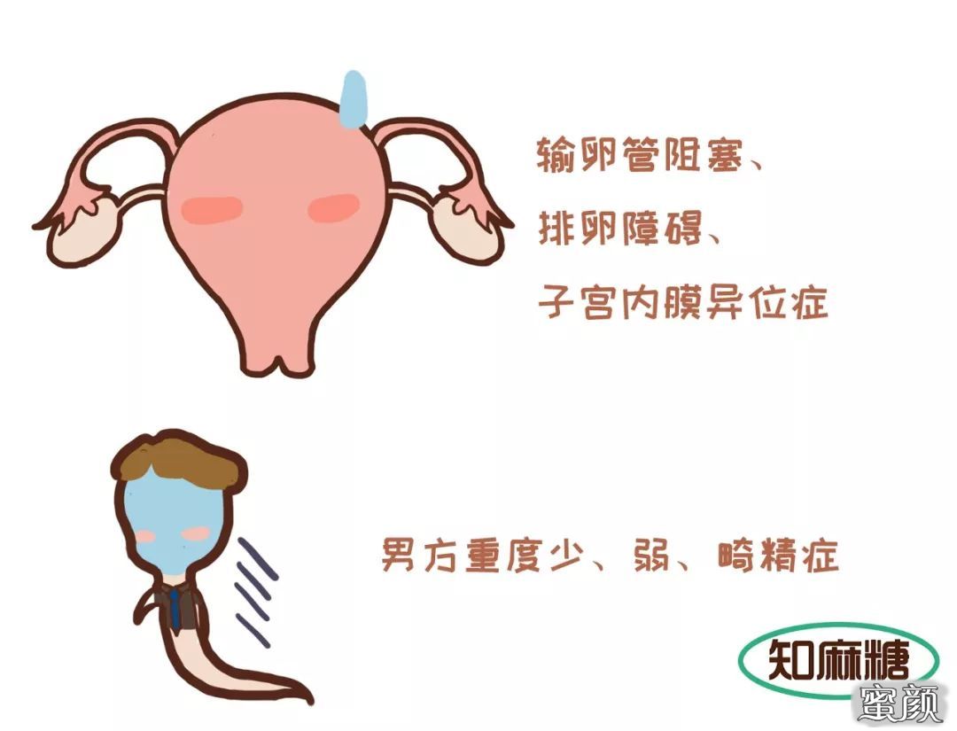 https://img.yiyiaimei.com/mnt/timg/200607/1206251402-0.jpg