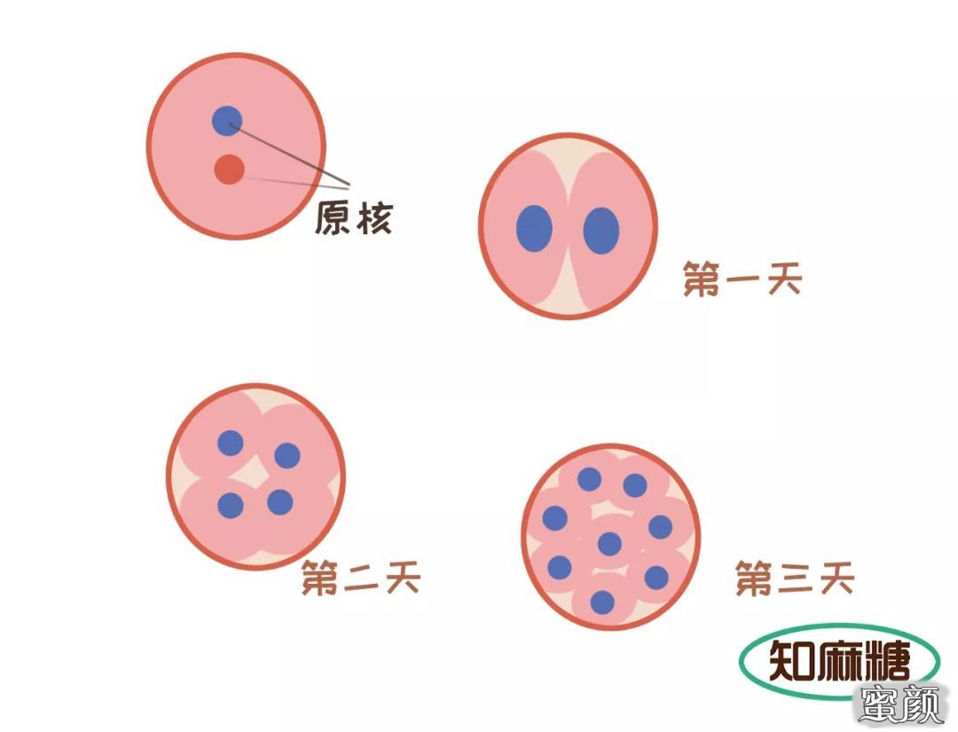 https://img.yiyiaimei.com/mnt/timg/200607/120A06305-6.jpg