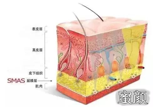 https://img.yiyiaimei.com/mnt/timg/200608/1210025503-6.jpg