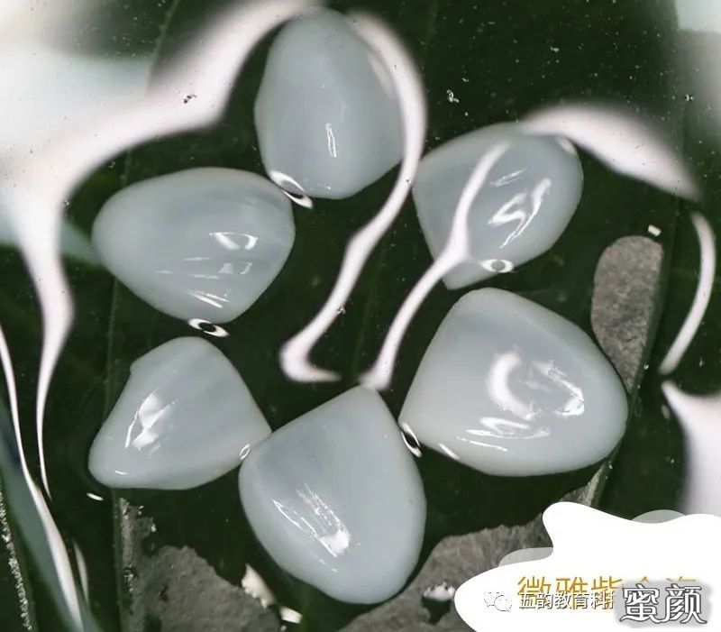 案例图片