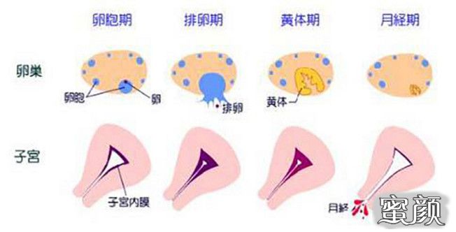 案例图片