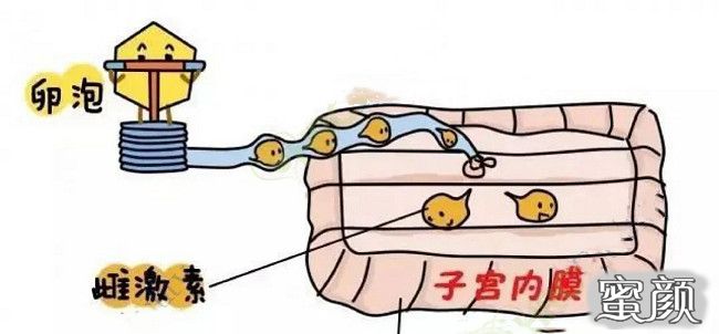 案例图片