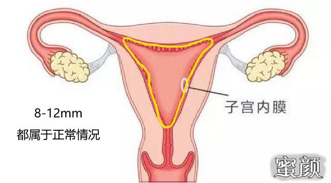 案例图片