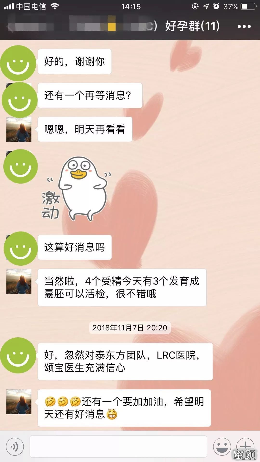 案例图片