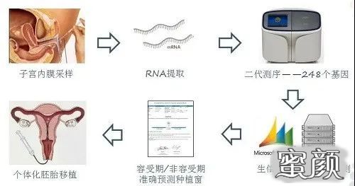 案例图片