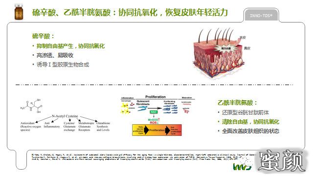 案例图片