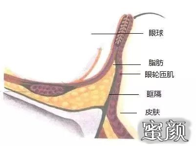 案例图片