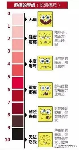 https://img.yiyiaimei.com/mnt/timg/200614/12264Q226-0.jpg