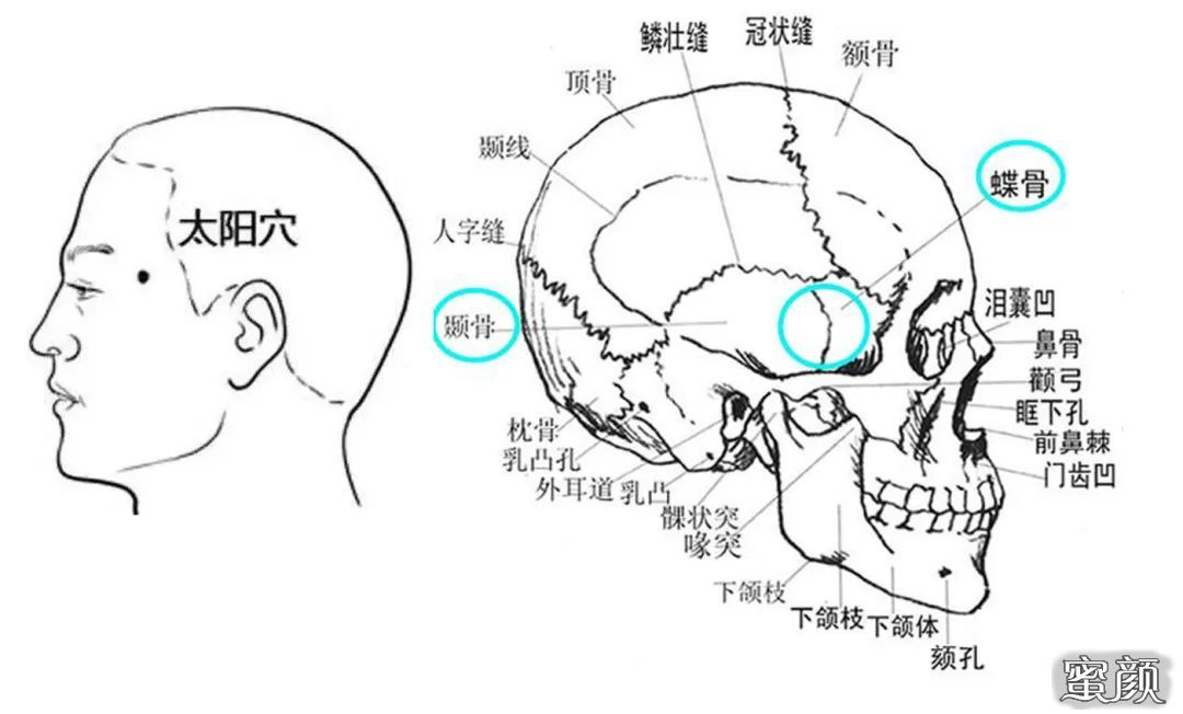 案例图片