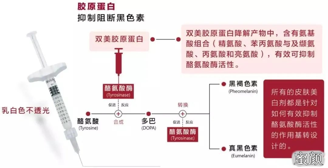 案例图片