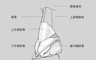 案例图片