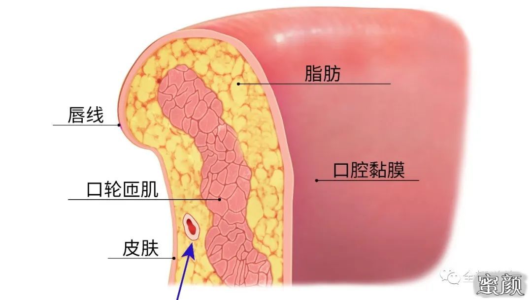 案例图片