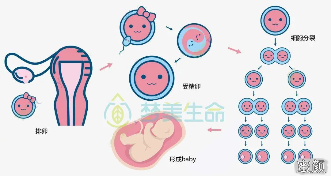 https://img.yiyiaimei.com/mnt/timg/200618/12005310T-1.jpg 案例图片