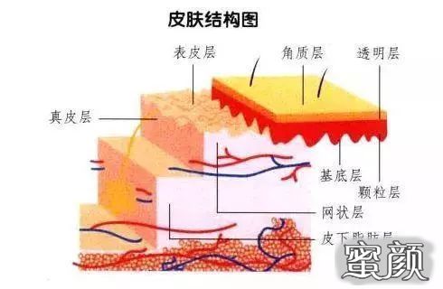 案例图片