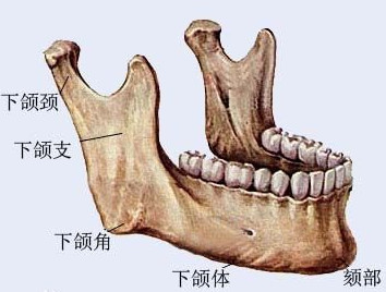 案例图片