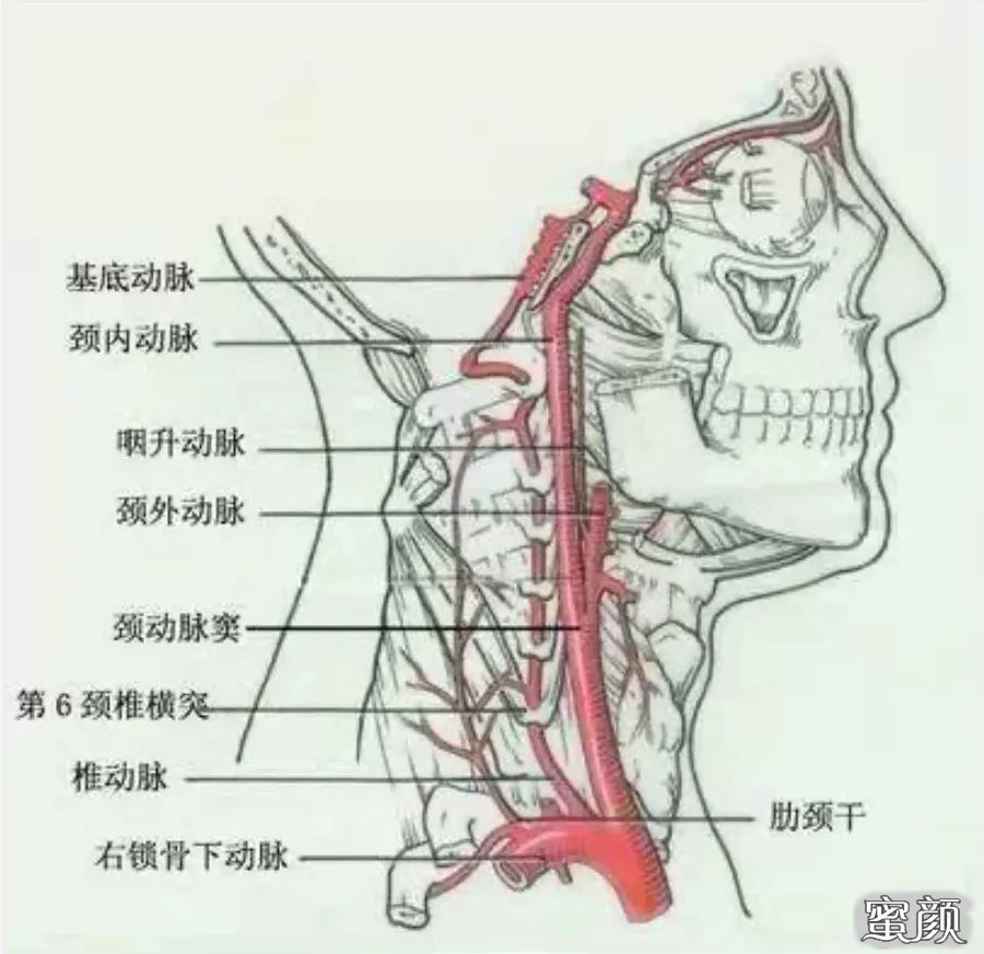 案例图片