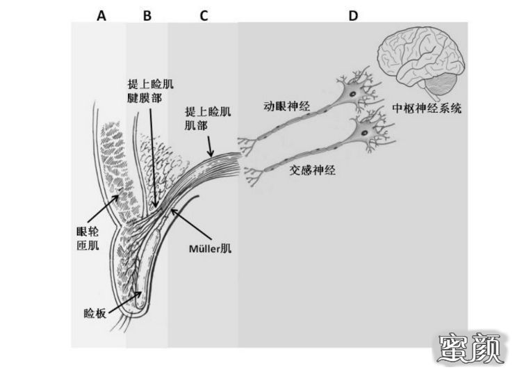 案例图片