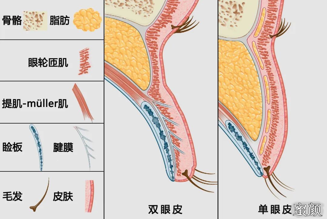 案例图片