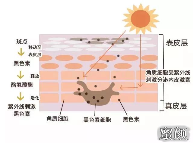 案例图片