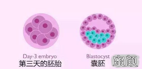 案例图片