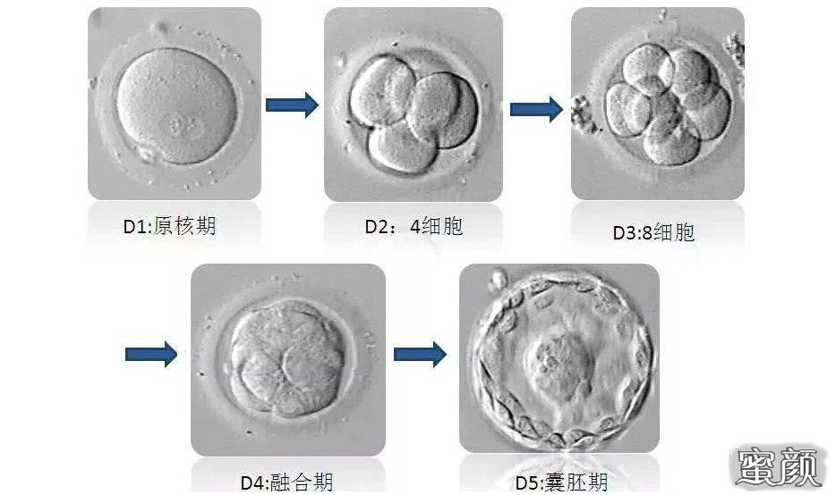 案例图片