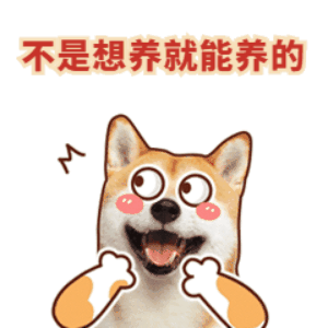 案例图片