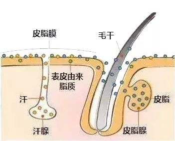 案例图片