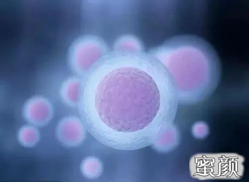 案例图片