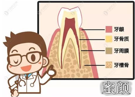 案例图片