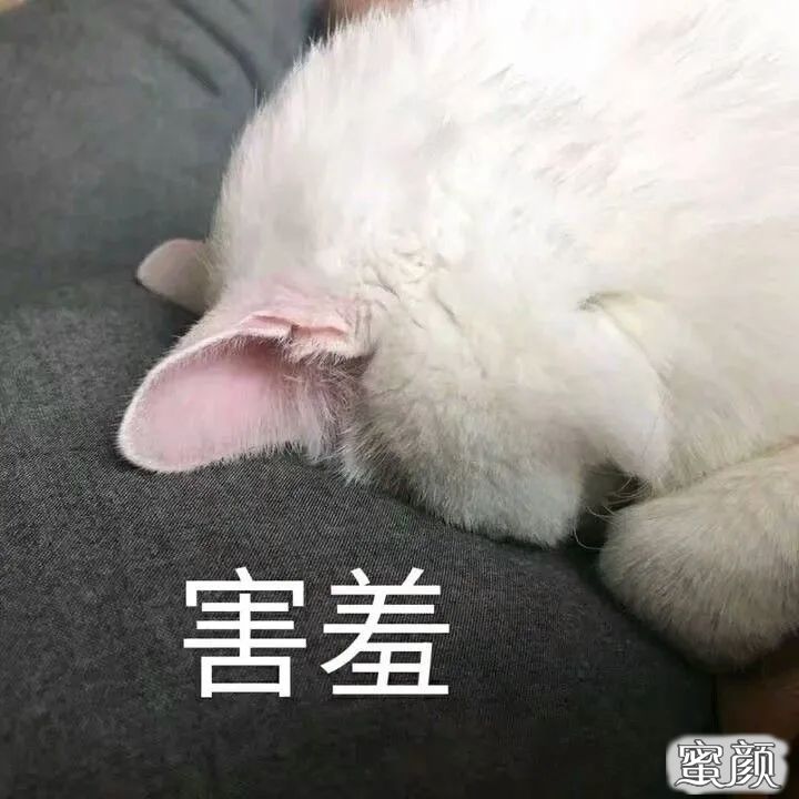 https://img.yiyiaimei.com/mnt/timg/200702/11145A215-0.jpg 案例图片