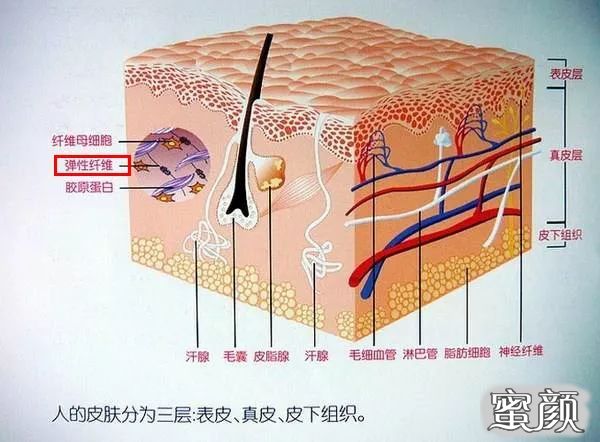 案例图片