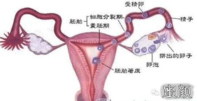 案例图片