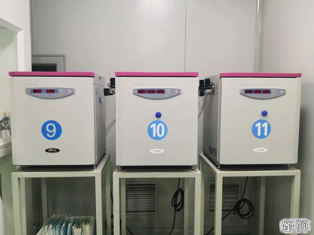 https://img.yiyiaimei.com/mnt/timg/200707/12325a5G-3.jpg 案例图片