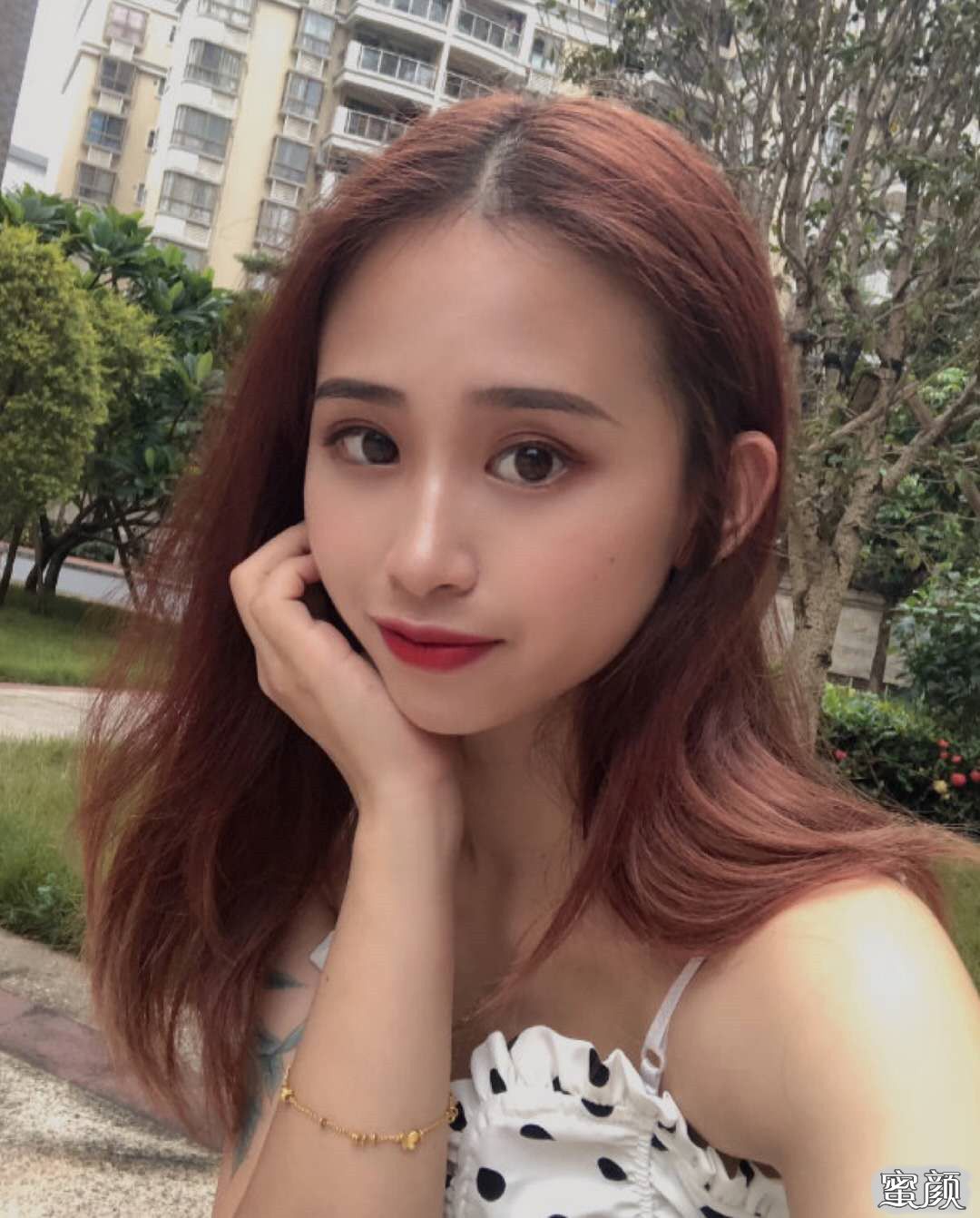 案例图片