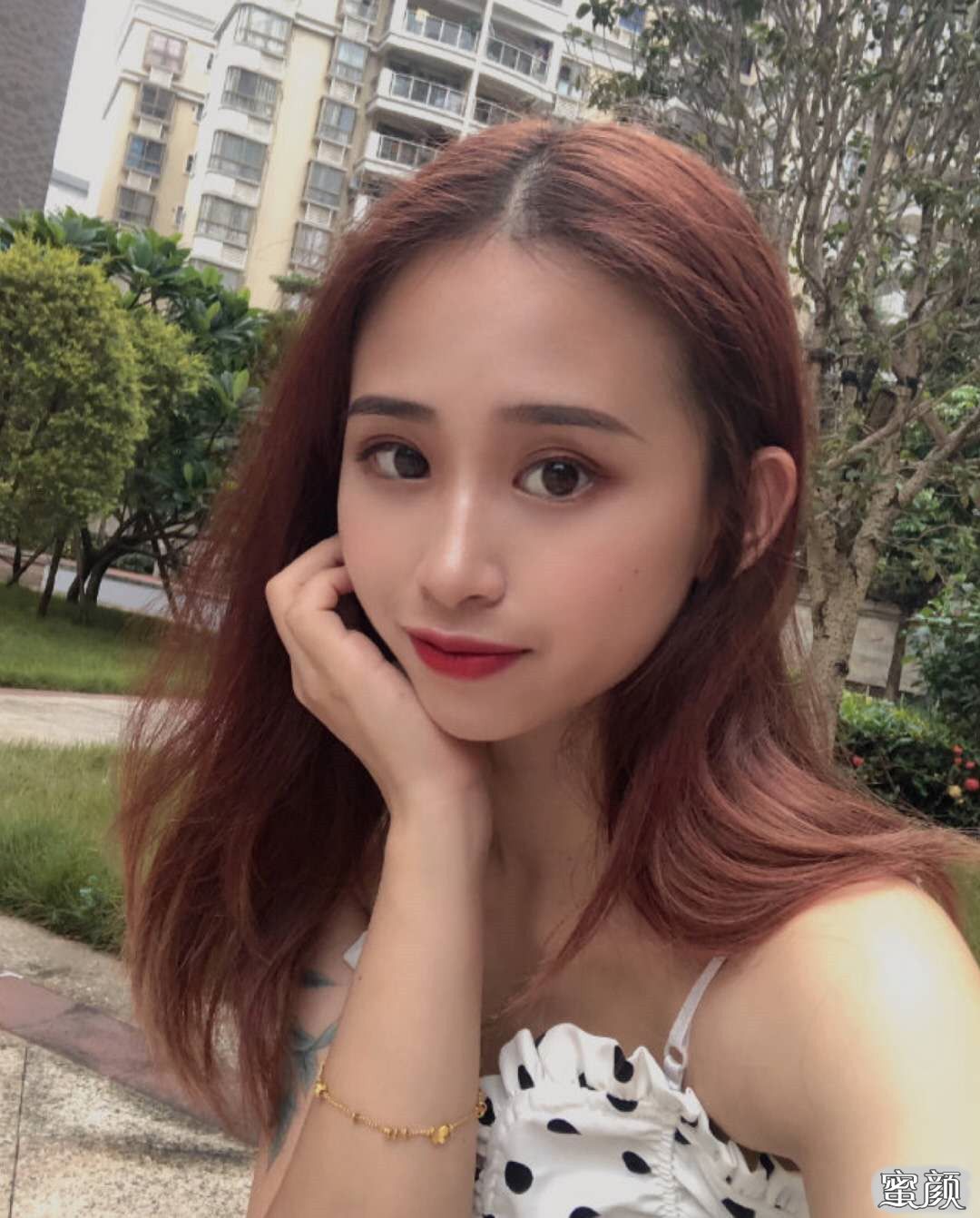 案例图片