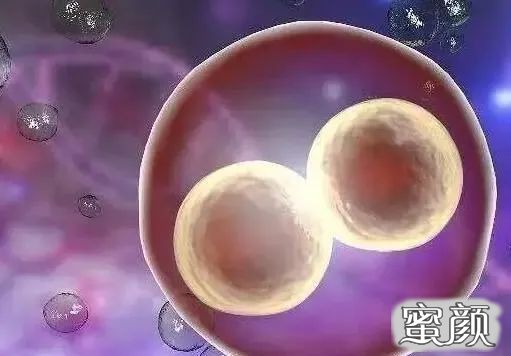 案例图片