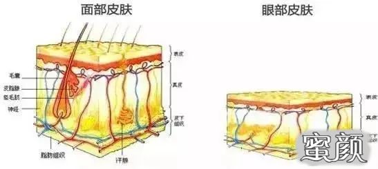 案例图片