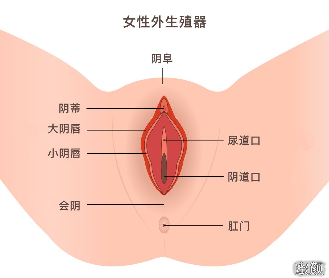 案例图片