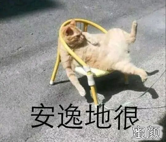 案例图片