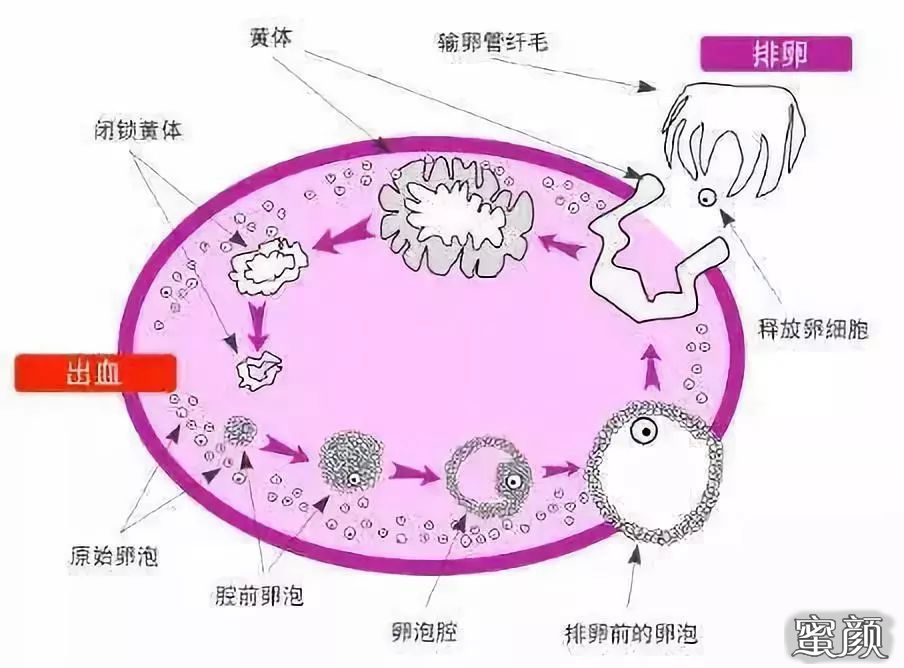案例图片