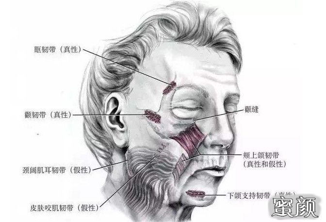 https://img.yiyiaimei.com/mnt/timg/200713/105451J49-4.jpg 案例图片